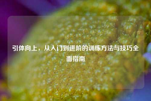引体向上,从入门到进阶的训练 *** 与技巧全面指南