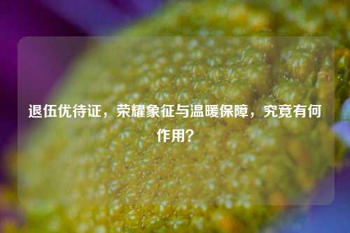 退伍优待证，荣耀象征与温暖保障，究竟有何作用？