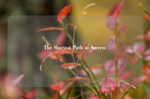 The Shortest Path to Success