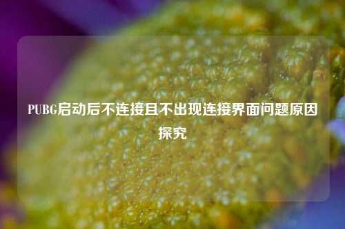 PUBG启动后不连接且不出现连接界面问题原因探究