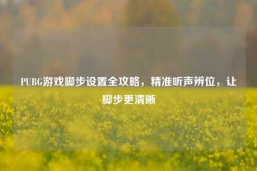 PUBG游戏脚步设置全攻略，精准听声辨位，让脚步更清晰