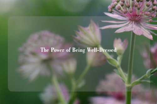 The Power of Being Well-Dressed