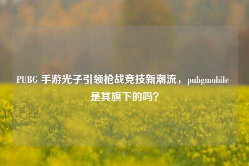 PUBG 手游光子引领枪战竞技新潮流，pubgmobile 是其旗下的吗？