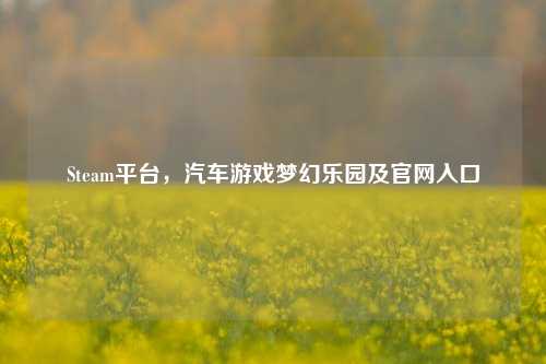 Steam平台，汽车游戏梦幻乐园及官网入口