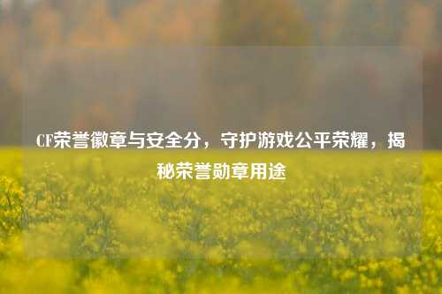CF荣誉徽章与安全分，守护游戏公平荣耀，揭秘荣誉勋章用途