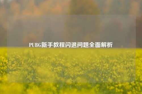 PUBG新手教程闪退问题全面解析