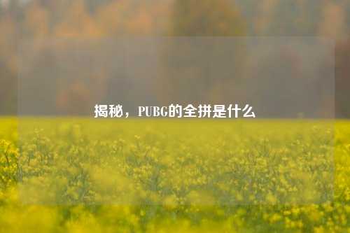 揭秘，PUBG的全拼是什么