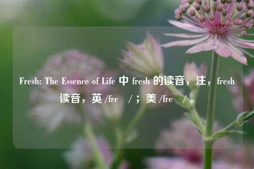 Fresh: The Essence of Life 中 fresh 的读音，注，fresh读音，英 /freʃ/ ；美 /freʃ/ 。