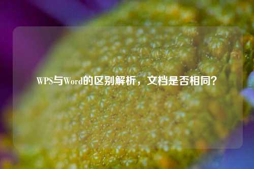WPS与Word的区别解析，文档是否相同？