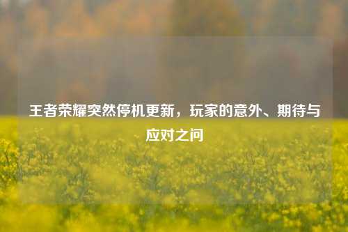 王者荣耀突然停机更新,玩家的意外、期待与应对之问