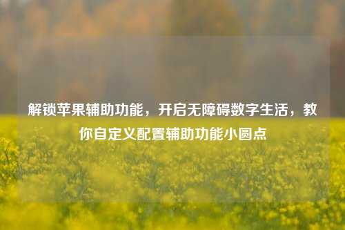 解锁苹果辅助功能,开启无障碍数字生活,教你自定义配置辅助功能小圆点