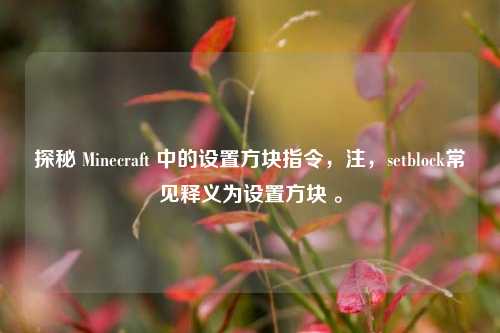 探秘 Minecraft 中的设置方块指令,注,setblock常见释义为设置方块 。