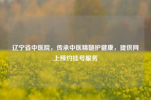 辽宁省中医院，传承中医精髓护健康，提供网上预约挂号服务