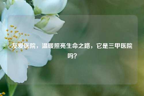 友爱医院，温暖照亮生命之路，它是三甲医院吗？