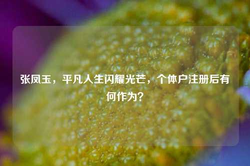 张凤玉，平凡人生闪耀光芒，个体户注册后有何作为？
