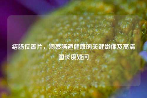 结肠位置片，洞察肠道健康的关键影像及高清图长度疑问