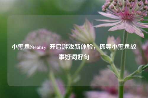 小黑鱼Steam，开启游戏新体验，探寻小黑鱼故事好词好句
