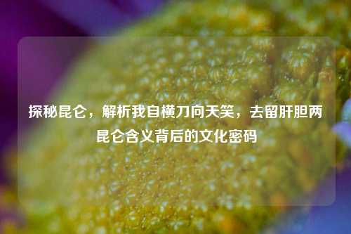 探秘昆仑，解析我自横刀向天笑，去留肝胆两昆仑含义背后的文化密码