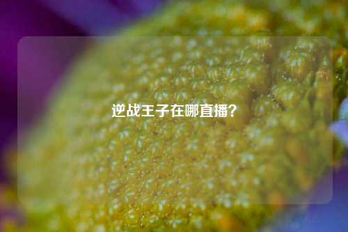 逆战王子在哪直播？