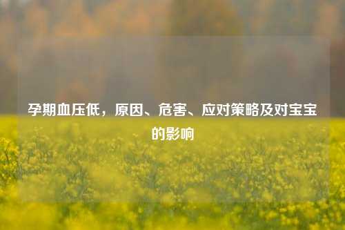 孕期血压低，原因、危害、应对策略及对宝宝的影响