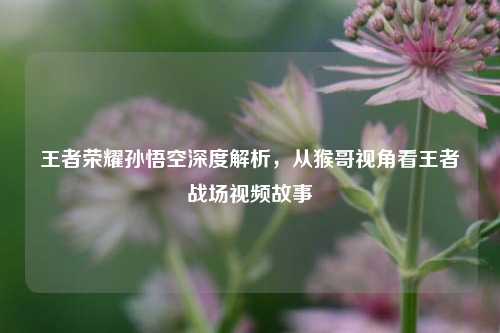 王者荣耀孙悟空深度解析，从猴哥视角看王者战场视频故事