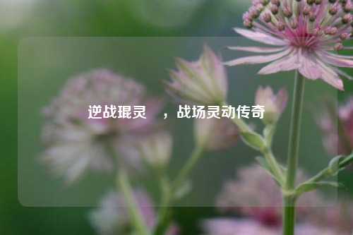 逆战琨灵玥，战场灵动传奇