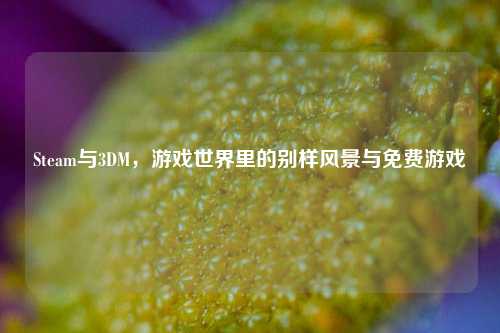 Steam与3DM，游戏世界里的别样风景与免费游戏