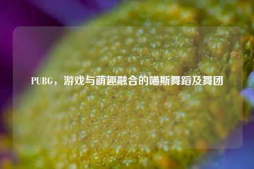 PUBG，游戏与萌趣融合的喵斯舞蹈及舞团