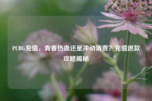 PUBG充值，青春热血还是冲动消费？充值退款攻略揭秘