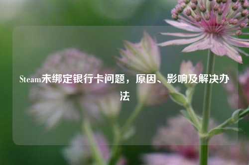 Steam未绑定银行卡问题，原因、影响及解决办法
