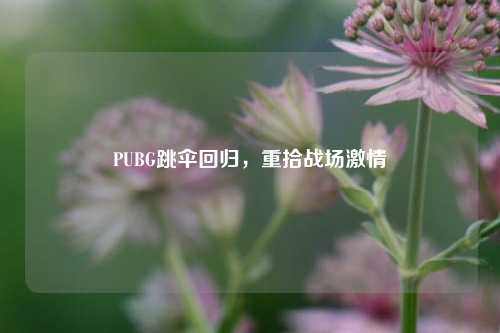 PUBG跳伞回归，重拾战场***