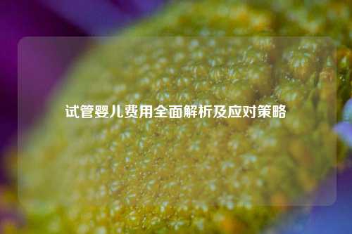 试管婴儿费用全面解析及应对策略
