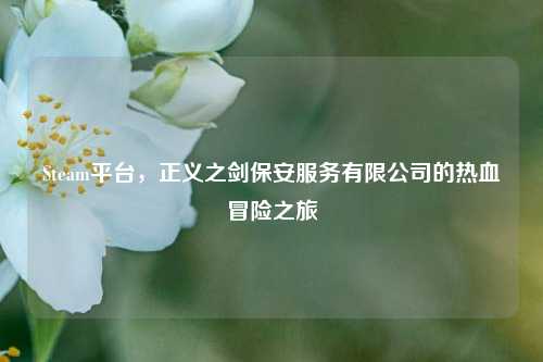 Steam平台，正义之剑保安服务有限公司的热血冒险之旅