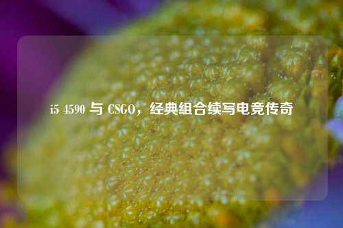 i5 4590 与 CSGO，经典组合续写电竞传奇