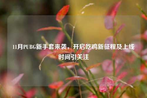11月PUBG新手套来袭，开启吃鸡新征程及上线时间引关注