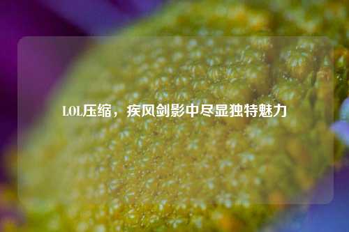 LOL压缩，疾风剑影中尽显独特魅力