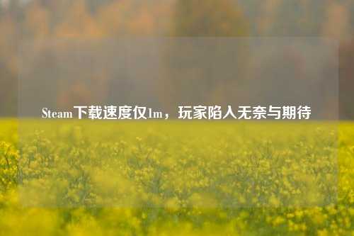 Steam***仅1m，玩家陷入无奈与期待