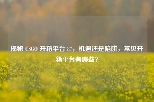 揭秘 CSGO 开箱平台 87，机遇还是陷阱，常见开箱平台有哪些？