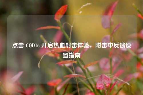 点击 COD16 开启热血射击体验，附击中反馈设置指南