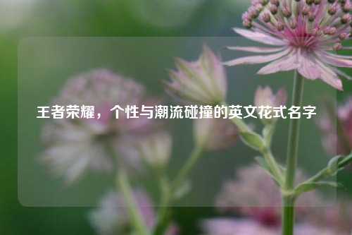 王者荣耀，个性与潮流碰撞的英文花式名字