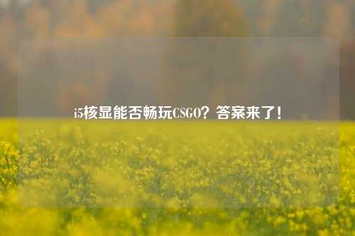 i5核显能否畅玩CSGO？答案来了！