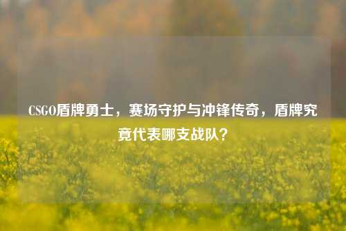 CSGO盾牌勇士，赛场守护与冲锋传奇，盾牌究竟代表哪支战队？