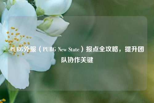 PUBG外服（PUBG New State）报点全攻略，提升团队协作关键