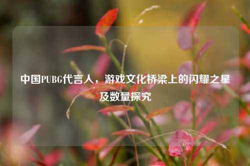 中国PUBG代言人，游戏文化桥梁上的闪耀之星及数量探究