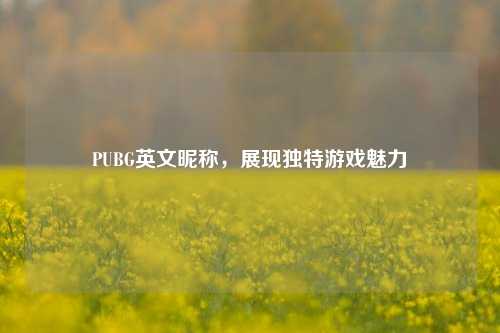 PUBG英文昵称，展现独特游戏魅力