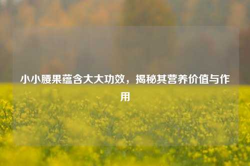 小小腰果蕴含大大功效，揭秘其营养价值与作用