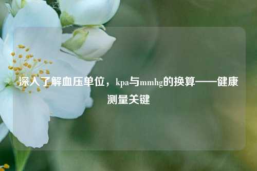 深入了解血压单位，kpa与mmhg的换算——健康测量关键