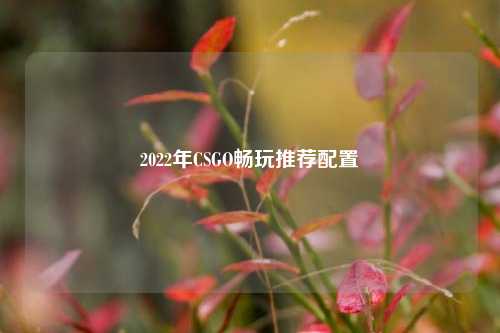 2022年CSGO畅玩推荐配置