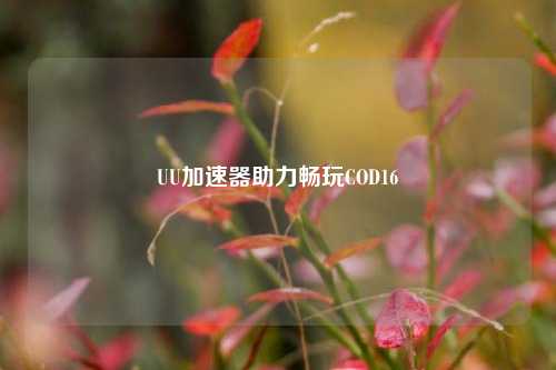UU加速器助力畅玩COD16