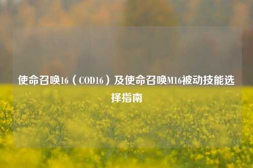 使命召唤16（COD16）及使命召唤M16被动技能选择指南